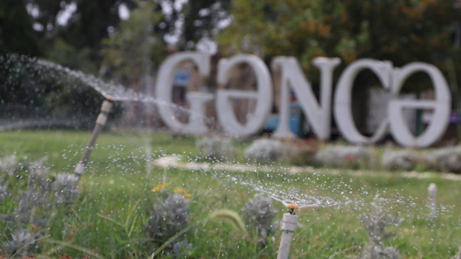 WhatsApp Image 2025-08-08 at 14.58.57.jpeg