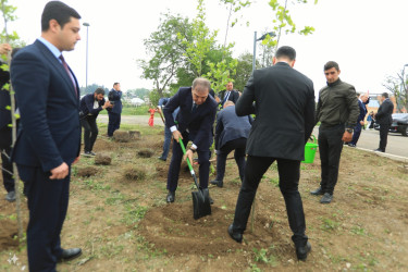 Gəncədə Ulu Öndər Heydər Əliyevin anadan olmasının 101-ci ildönümünə həsr olunmuş “Heydər Əliyev və azərbaycançılıq məfkurəsi” mövzusunda konfrans keçirilib