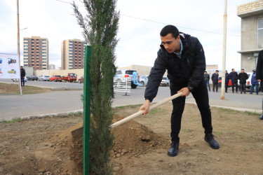 Gəncədə “Yaşıl Dünya Naminə Həmrəylik İli” ilə əlaqədar olaraq ilin son ağacəkmə aksiyası təşkil olunub