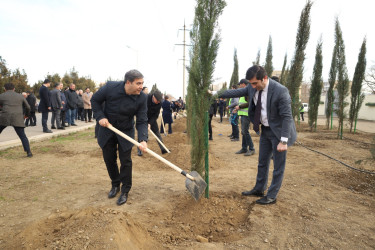 Gəncədə “Yaşıl Dünya Naminə Həmrəylik İli” ilə əlaqədar olaraq ilin son ağacəkmə aksiyası təşkil olunub