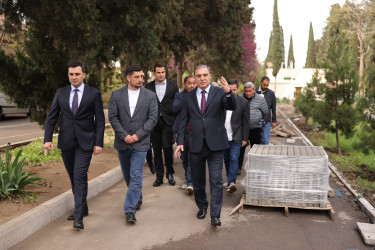 Niyazi Bayramov “ABAD məhəllə” layihəsi çərçivəsində aparılan işlərlə növbəti dəfə yerində tanış olub