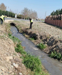 Gəncədə iməcilik işləri davam etdirilir