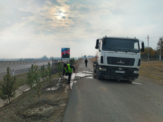 Gəncədəki mövcud yaşıllıqlara daimi qulluq göstərilir