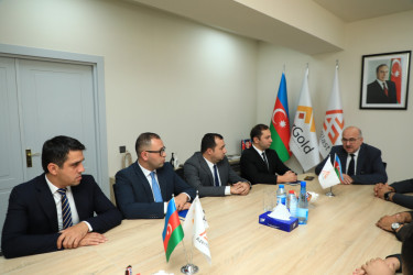 Gəncə şəhəri üzrə Məşğulluğa kömək göstərən əlaqələndirmə komitəsi növbəti dəfə toplanıb