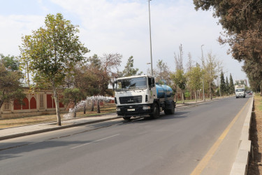 Gəncədə yaşıllıqları anomal istilərdən qorumaq üçün müvafiq tədbirlər həyata keçirilir