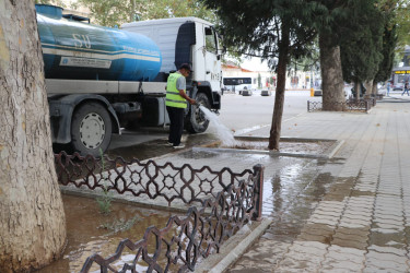 Gəncədə yaşıllıqları anomal istilərdən qorumaq üçün müvafiq tədbirlər həyata keçirilir