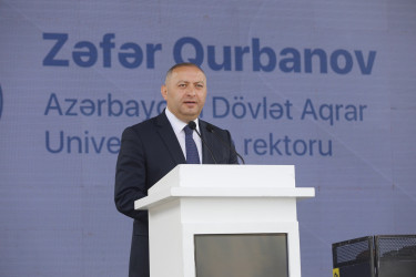 Gəncədə “PeşəFest-2026” layihəsi reallaşıb