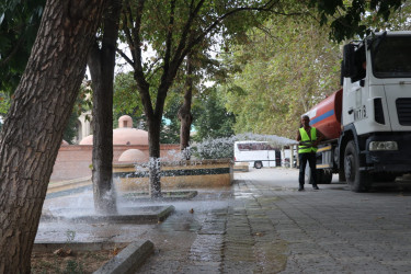 Gəncədə yaşıllıqları anomal istilərdən qorumaq üçün müvafiq tədbirlər həyata keçirilir