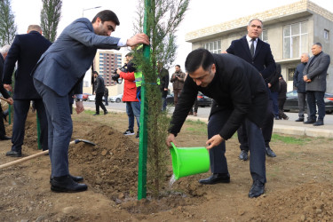 Gəncədə “Yaşıl Dünya Naminə Həmrəylik İli” ilə əlaqədar olaraq ilin son ağacəkmə aksiyası təşkil olunub