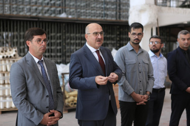 Gəncədə məşğulluğa kömək göstərən əlaqələndirmə komitəsi növbəti maarifləndirmə tədbiri keçirib