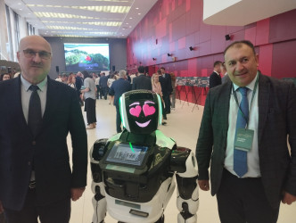İcra başçısının müavini Qomel vilayətinin qubernatoru ilə görüşüb