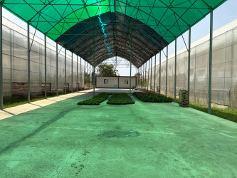 Niyazi Bayramov III MDB Oyunları ərəfəsində aparılan abadlıq işlərinə növbəti dəfə baxış keçirib