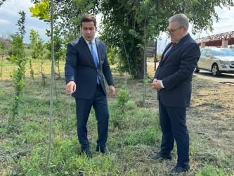 Gəncədə 15 İyul – Demokratiya və Milli Birlik Günü münasibətilə “İradə Bizim Zəfər Bizim" mövzusunda anım tədbiri keçirilib