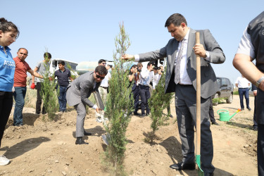 Dünya əhəmiyyətli “Qədim Gəncə” ərazisində yaşıllıq və abadlıq aksiyası keçirilib