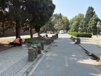 Niyazi Bayramov III MDB Oyunları ərəfəsində aparılan abadlıq işlərinə növbəti dəfə baxış keçirib