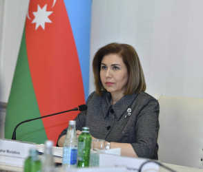 "Parlayan Ziya” layihəsi çərçivəsində Gəncə üzrə əlaqələndirici şura yaradılıb