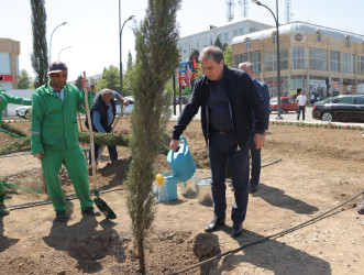 Gəncədə Ümummilli Lider Heydər Əliyevin və akademik Zərifə xanım Əliyevanın xatirəsinə ağacəkmə aksiyası keçirilib