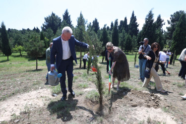 Gəncədə Azərbaycan - Aİ əməkdaşlığının 30 illiyinə həsr olunmuş ağacəkmə aksiyası keçirilib