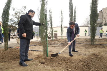 Gəncədə “Yaşıl Dünya Naminə Həmrəylik İli” ilə əlaqədar olaraq ilin son ağacəkmə aksiyası təşkil olunub