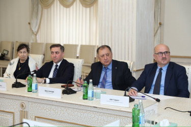 "Parlayan Ziya” layihəsi çərçivəsində Gəncə üzrə əlaqələndirici şura yaradılıb