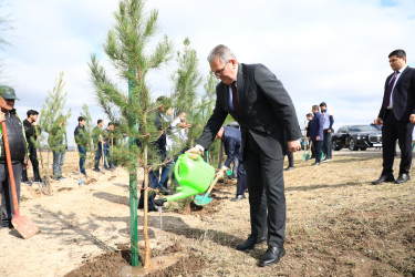 Gəncədə “Yaşıl dünya naminə həmrəylik ili” çərçivəsində genişmiqyaslı ağacəkmə aksiyası keçirilir