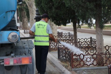 Gəncədə yaşıllıqları anomal istilərdən qorumaq üçün müvafiq tədbirlər həyata keçirilir