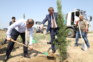 Dünya əhəmiyyətli “Qədim Gəncə” ərazisində yaşıllıq və abadlıq aksiyası keçirilib