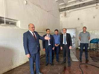 Gəncədə Qurban Bayramı günlərində heyvanların satış və kəsim məntəqələrinə monitorinq təşkil olunub