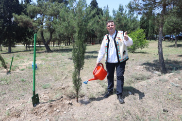 Gəncədə Azərbaycan - Aİ əməkdaşlığının 30 illiyinə həsr olunmuş ağacəkmə aksiyası keçirilib