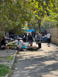 Gəncədə qanunsuz küçə ticarətinə qarşı reydlər davam etdirilir