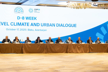 Niyazi Bayramov Bakıda ilk dəfə keçirilən “D-8 Yüksəksəviyyəli İqlim və Şəhərsalma Dialoqu”nda iştirak edib
