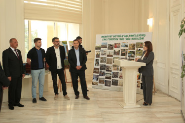 Gəncədə “Mədəniyyət vasitəsilə yaşıl həyata çağırış” layihəsinin təqdimatı keçirilib