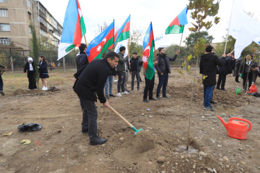 Gəncədə “Heydər Əliyev İli“ çərçivəsində növbəti ağacəkmə aksiyası keçirilib