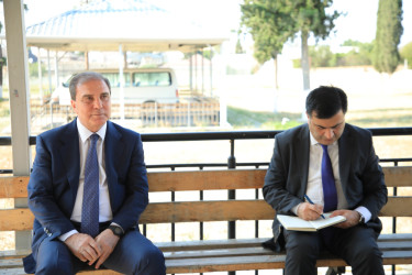 Gəncə Şəhər İcra Hakimiyyətinin başçısı Niyazi Bayramov növbəti dəfə vətəndaşlarla görüşüb