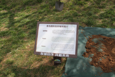 Gəncənin nümayəndə heyəti tərəfindən Çindao şəhərinin beynəlxalq dostluq xiyabanında ağac əkilib