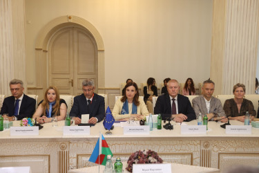 Niyazi Bayramov Avropa İttifaqının Azərbaycandakı səfiri və üzv dövlətlərin diplomatları ilə rəsmi görüş keçirib