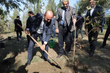 Gəncədə cənab İlham Əliyevin Prezident seçilməsinin 20-ci ildönümü münasibətilə ağacəkmə aksiyası təşkil olunub