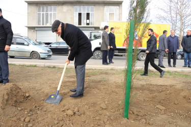 Gəncədə “Yaşıl Dünya Naminə Həmrəylik İli” ilə əlaqədar olaraq ilin son ağacəkmə aksiyası təşkil olunub