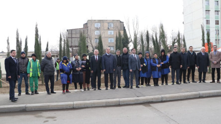 Gəncədə “Yaşıl Dünya Naminə Həmrəylik İli” ilə əlaqədar olaraq ilin son ağacəkmə aksiyası təşkil olunub