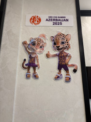 Niyazi Bayramov III MDB Oyunları öncəsi Gəncə İdman Sarayında aparılan hazırlıq işləri ilə tanış olub