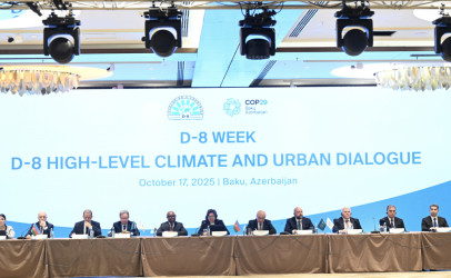 Niyazi Bayramov Bakıda ilk dəfə keçirilən “D-8 Yüksəksəviyyəli İqlim və Şəhərsalma Dialoqu”nda iştirak edib