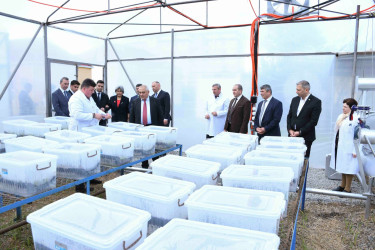 Kənd Təsərrüfatı Nazirliyi yanında İctimai Şuranın üzvləri ADAU-da olublar