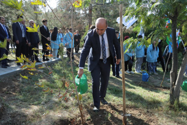 Gəncədə cənab İlham Əliyevin Prezident seçilməsinin 20-ci ildönümü münasibətilə ağacəkmə aksiyası təşkil olunub