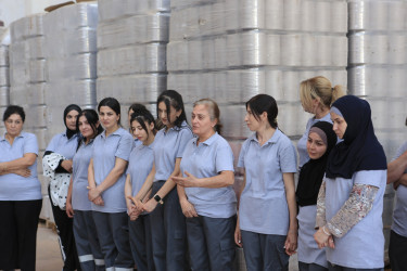 Gəncədə məşğulluğa kömək göstərən əlaqələndirmə komitəsi növbəti maarifləndirmə tədbiri keçirib