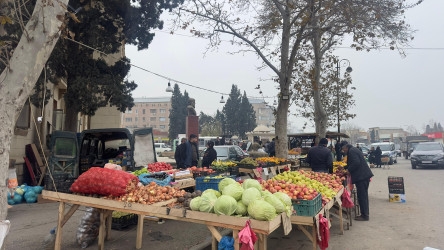 Gəncədə qanunsuz küçə ticarətinə qarşı aparılan reydlər bu gün də davam edib