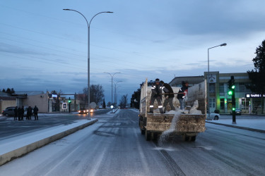 Gəncədə havanın qarlı və şaxtalı keçməsi ilə əlaqədar müvafiq tədbirlər həyata keçirilir