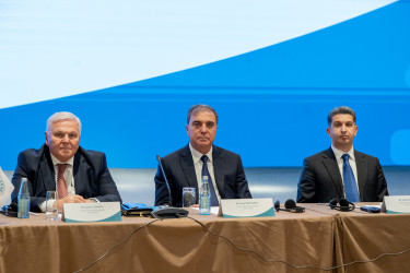 Niyazi Bayramov Bakıda ilk dəfə keçirilən “D-8 Yüksəksəviyyəli İqlim və Şəhərsalma Dialoqu”nda iştirak edib