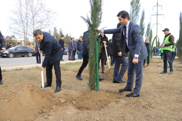 Gəncədə “Yaşıl Dünya Naminə Həmrəylik İli” ilə əlaqədar olaraq ilin son ağacəkmə aksiyası təşkil olunub