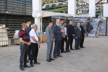 Gəncədə məşğulluğa kömək göstərən əlaqələndirmə komitəsi növbəti maarifləndirmə tədbiri keçirib