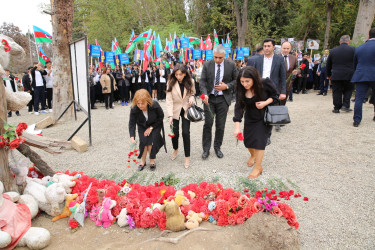 "Tarixin Gəncə səhifəsi" adlı yürüş keçirilib